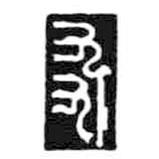 鳥蟲篆全書寫的篆書友