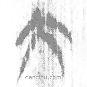 簡帛寫的篆書大