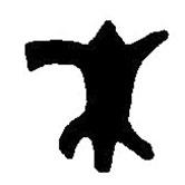 篆刻字典写的篆书爵