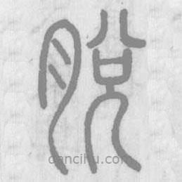 說文解字寫的篆書脫
