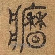 千文六書統(tǒng)要寫的篆書墻