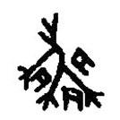 篆刻字典寫(xiě)的篆書(shū)喪