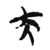 簡(jiǎn)帛寫的篆書夫