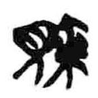 简帛写的篆书责