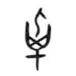 甲骨文寫的篆書卓