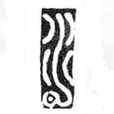 鸟虫篆全书写的篆书水