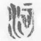 簡(jiǎn)帛寫(xiě)的篆書(shū)河