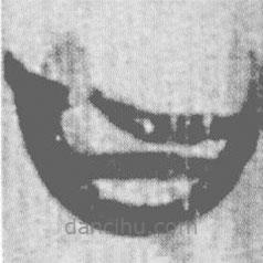 简帛写的篆书曰