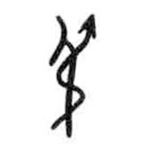 甲骨文写的篆书吊