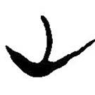 简帛写的篆书山