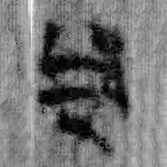 簡(jiǎn)帛寫的篆書凡