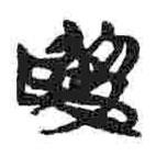 简帛写的篆书娄