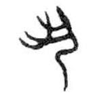 金文寫的篆書丮