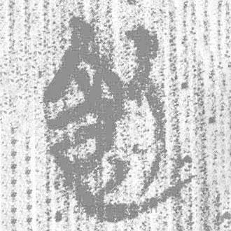 簡(jiǎn)帛寫的篆書飤