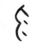 甲骨文寫(xiě)的篆書(shū)勿