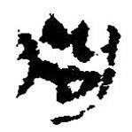 簡帛寫的篆書狗