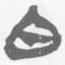 简帛写的篆书白