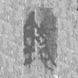 简帛写的篆书执