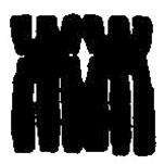 篆刻字典写的篆书林