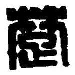 篆刻字典寫(xiě)的篆書(shū)楚