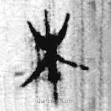 简帛写的篆书木