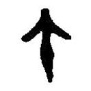 篆刻字典写的篆书午