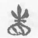 清华简字表写的篆书眚