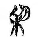 簡帛寫的篆書利