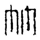 篆刻字典寫的篆書竹