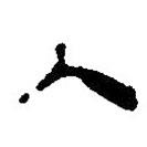 簡帛寫的篆書入