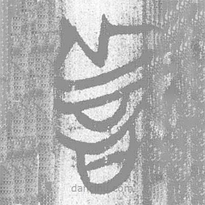 简帛写的篆书善