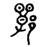 篆刻字典寫(xiě)的篆書(shū)鄲