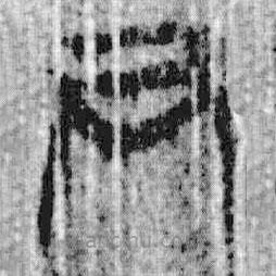 上博简写的篆书尹