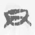 清华简字表写的篆书尹