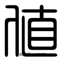 印篆寫的篆書值