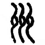 篆刻字典写的篆书州