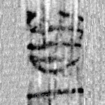 簡(jiǎn)帛寫的篆書甚