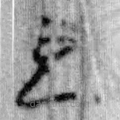 簡(jiǎn)帛寫(xiě)的篆書(shū)也
