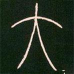 李陽(yáng)冰寫的篆書大
