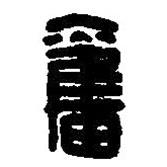 篆刻字典写的篆书奋