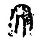 篆刻字典写的篆书太