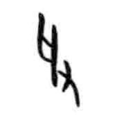 甲骨文写的篆书爰