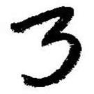 简帛写的篆书乃