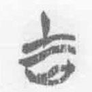 清華簡(jiǎn)字表寫的篆書吉