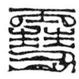 鸟虫篆写的篆书雪