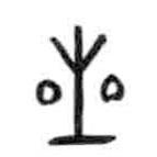 甲骨文写的篆书星