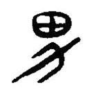 简帛写的篆书男