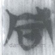 安大简字表写的篆书同