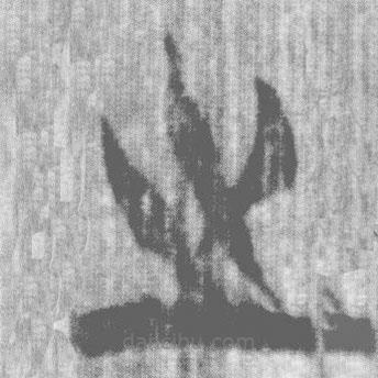 上博简写的篆书之