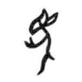 甲骨文寫的篆書猱